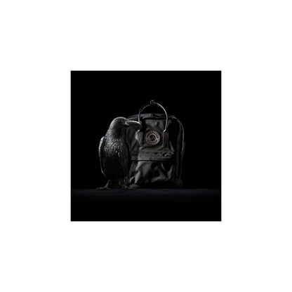 KÅNKEN NO. 2 BLACK - US 3217