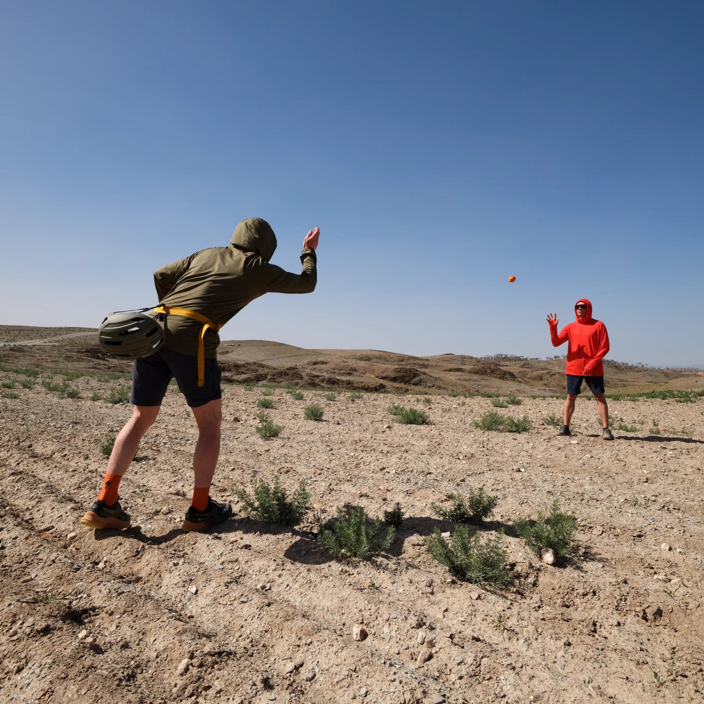 HOJA HYBRID SHORTS M - US 3671